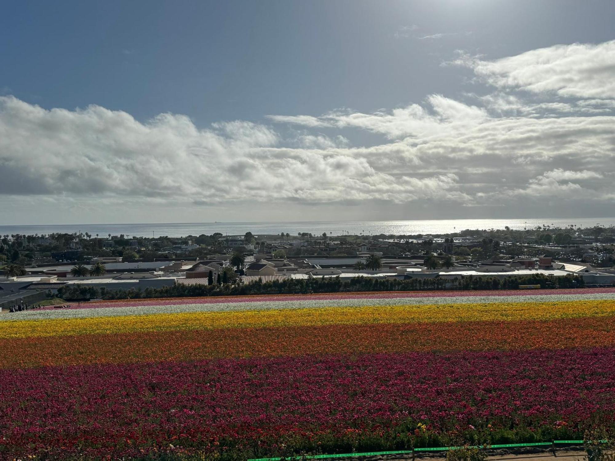 Holiday Inn Express Hotel & Suites Carlsbad Beach By Ihg Buitenkant foto